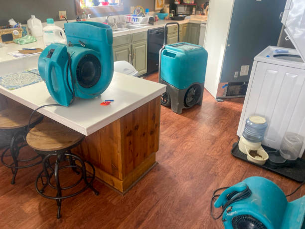 Best Water damage restoration company  in Middletown, CT