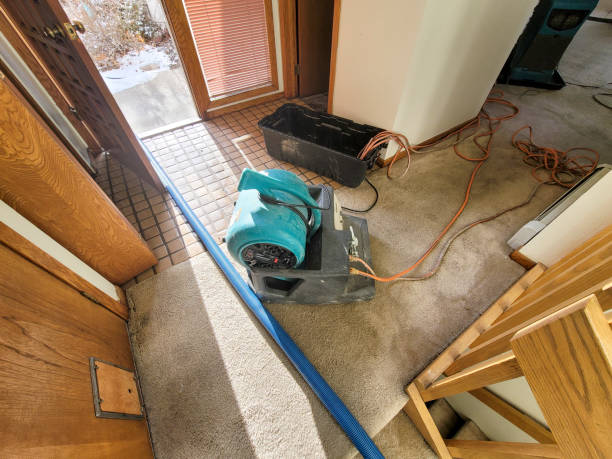 Best Flooded house restoration  in Middletown, CT
