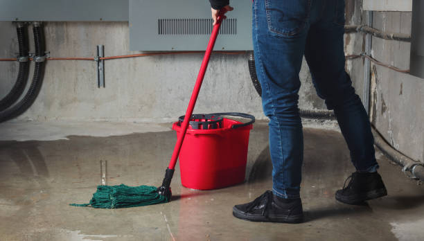 Best Local water damage restoration  in Middletown, CT