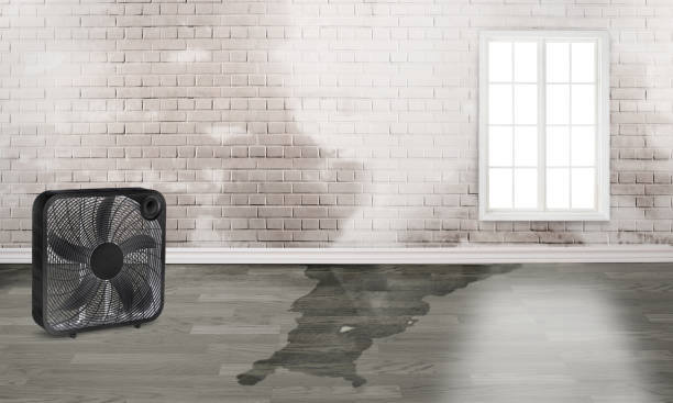 Best Ceiling water damage repair  in Middletown, CT