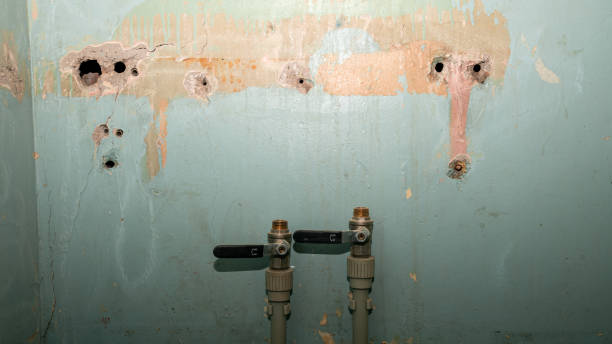Best Water damage restoration near me  in Middletown, CT