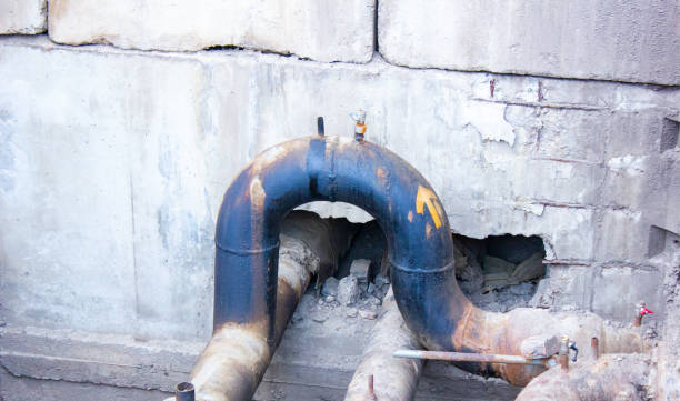 Best Professional water damage repair  in Middletown, CT