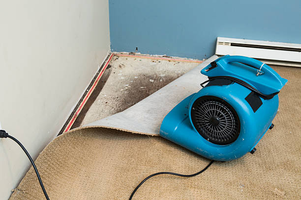 Best Flood restoration services  in Middletown, CT